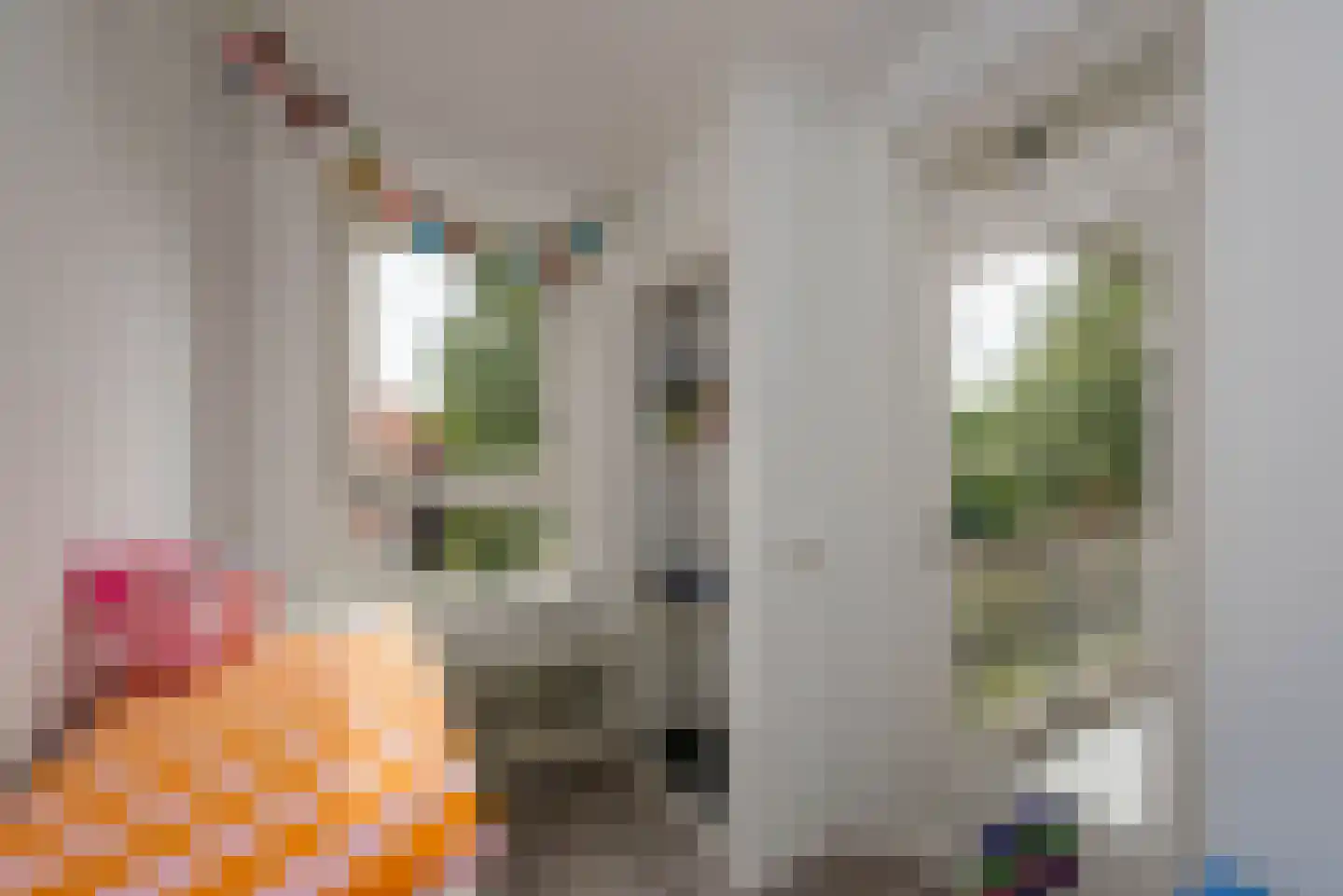 Plesmanlaan 26 I Haarlem thumbnail 19