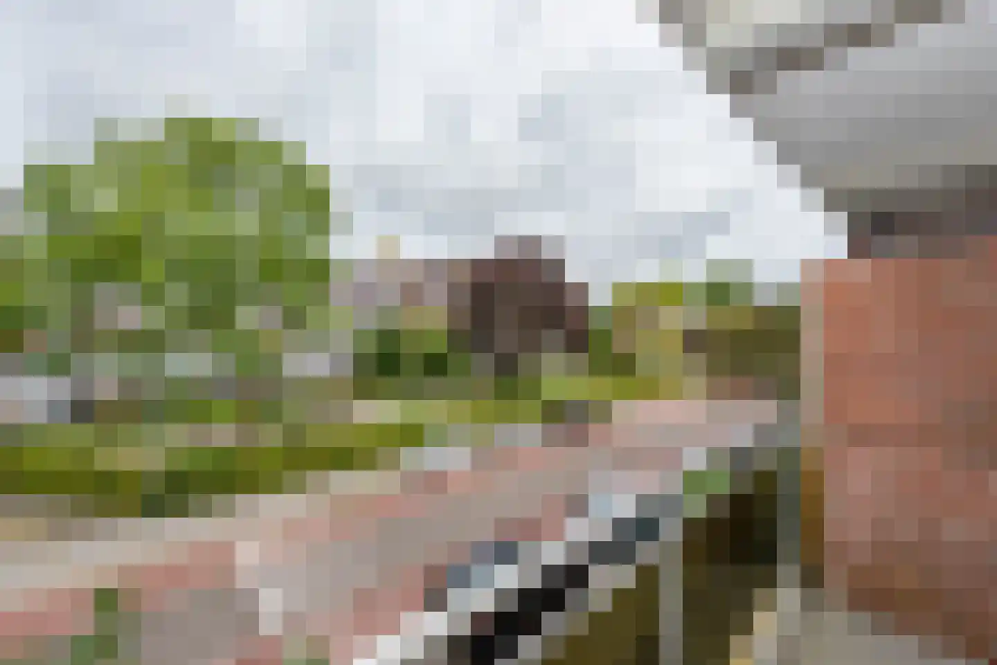 Plesmanlaan 26 I Haarlem thumbnail 23
