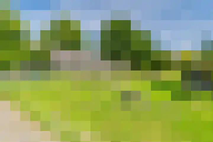 Plesmanlaan 28 Badhoevedorp thumbnail 36