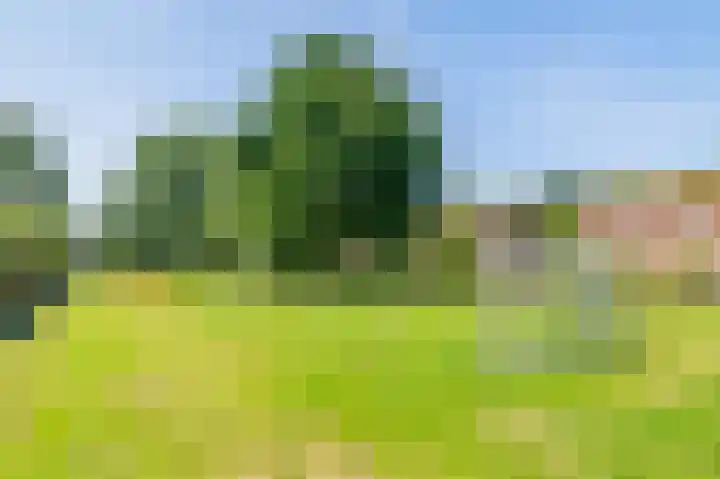 Plesmanlaan 28 Badhoevedorp thumbnail 37