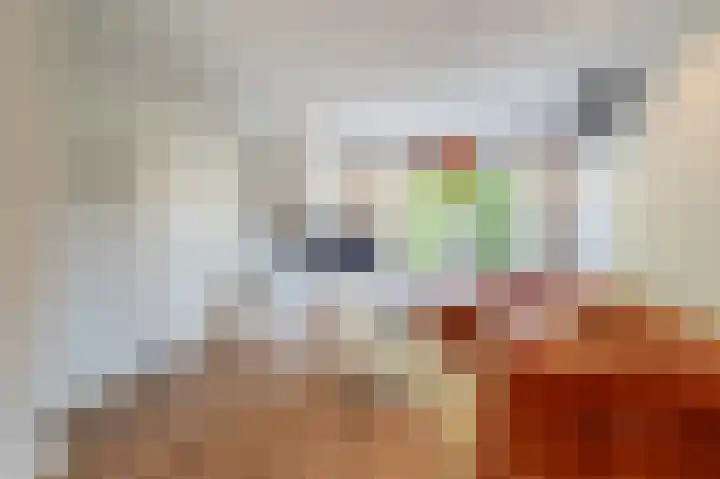 Plesmanlaan 28 Badhoevedorp thumbnail 5