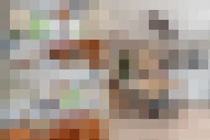 Plesmanlaan 28 Badhoevedorp thumbnail 6
