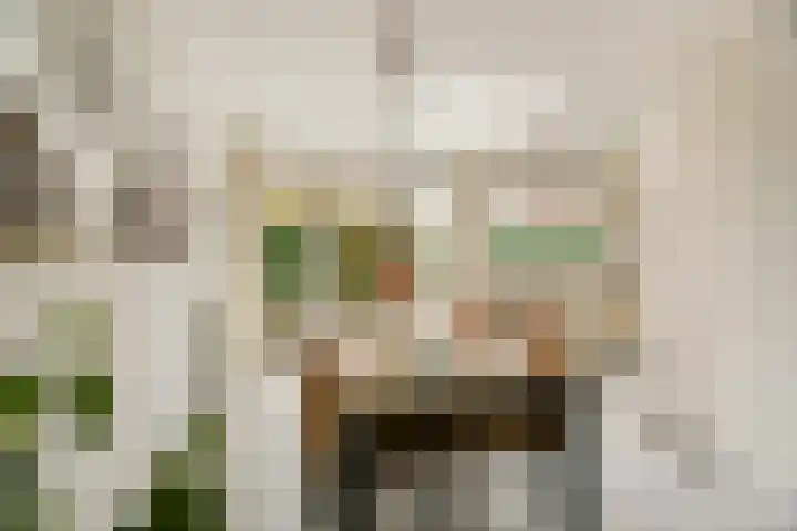 Plesmanlaan 30 Badhoevedorp thumbnail 10