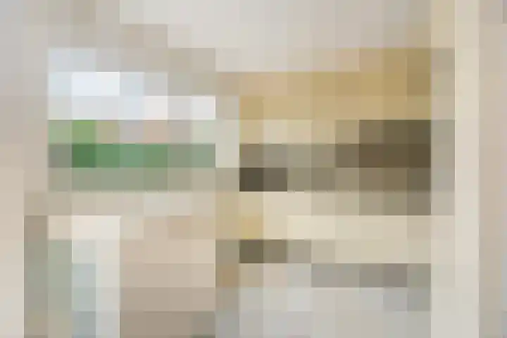 Plesmanlaan 30 Badhoevedorp thumbnail 13