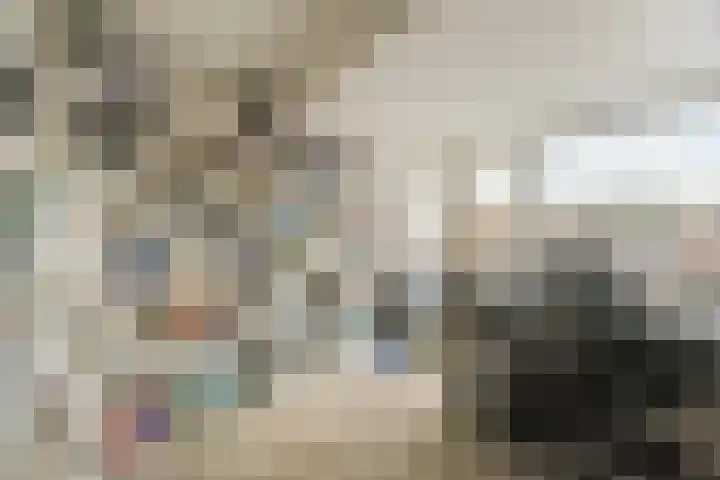Plesmanlaan 30 Badhoevedorp thumbnail 32