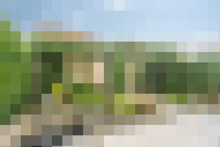 Plesmanlaan 30 Badhoevedorp thumbnail 35