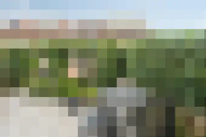 Plesmanlaan 30 Badhoevedorp thumbnail 37