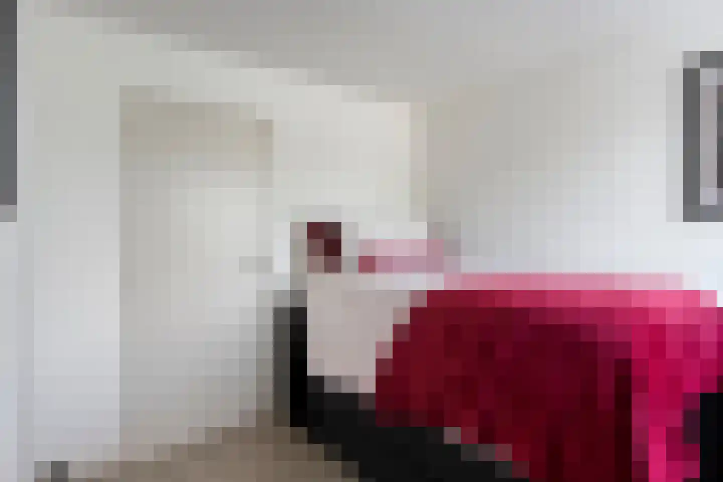 Plesmanlaan 30 Helmond thumbnail 30