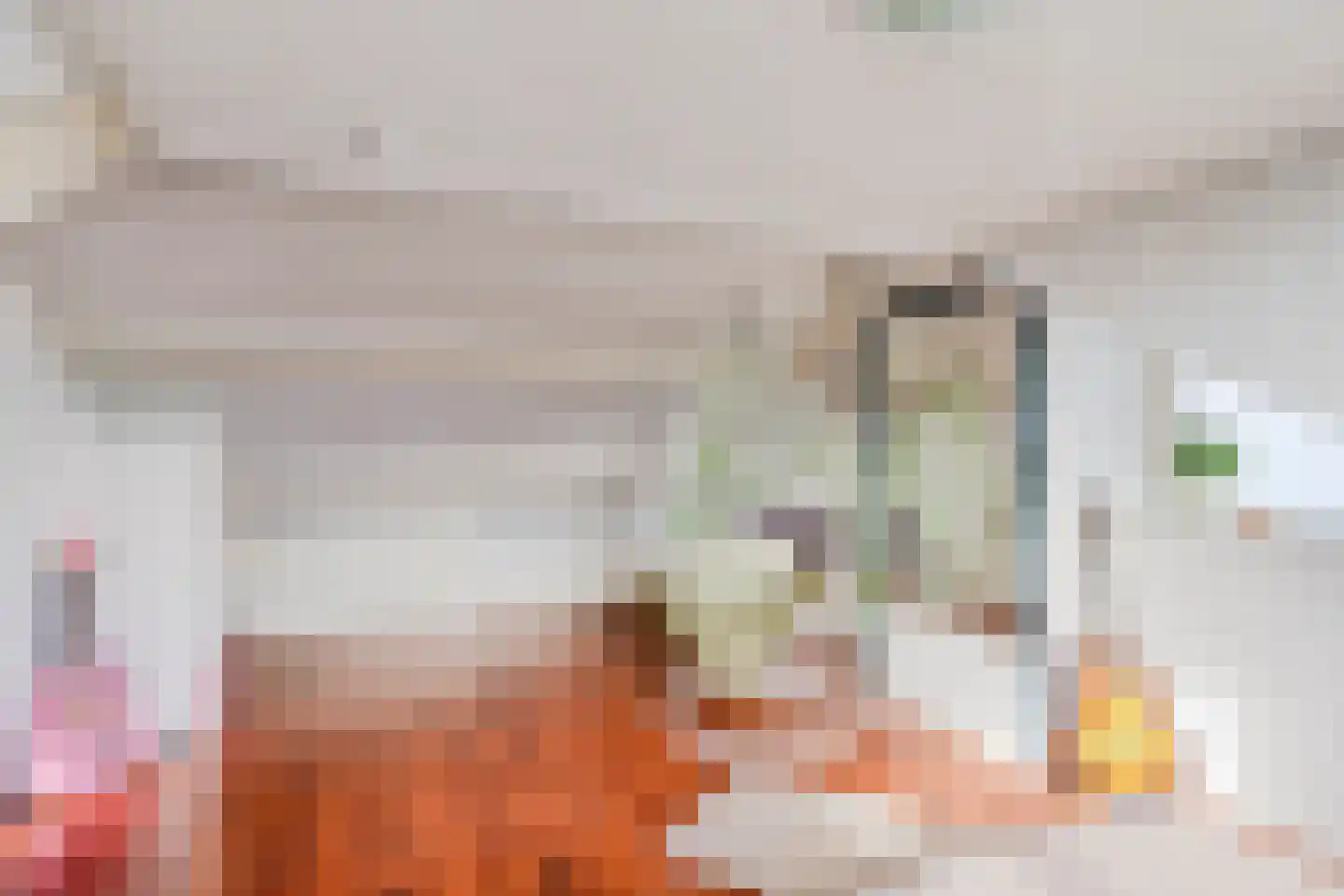 Plesmanlaan 30 Helmond thumbnail 34