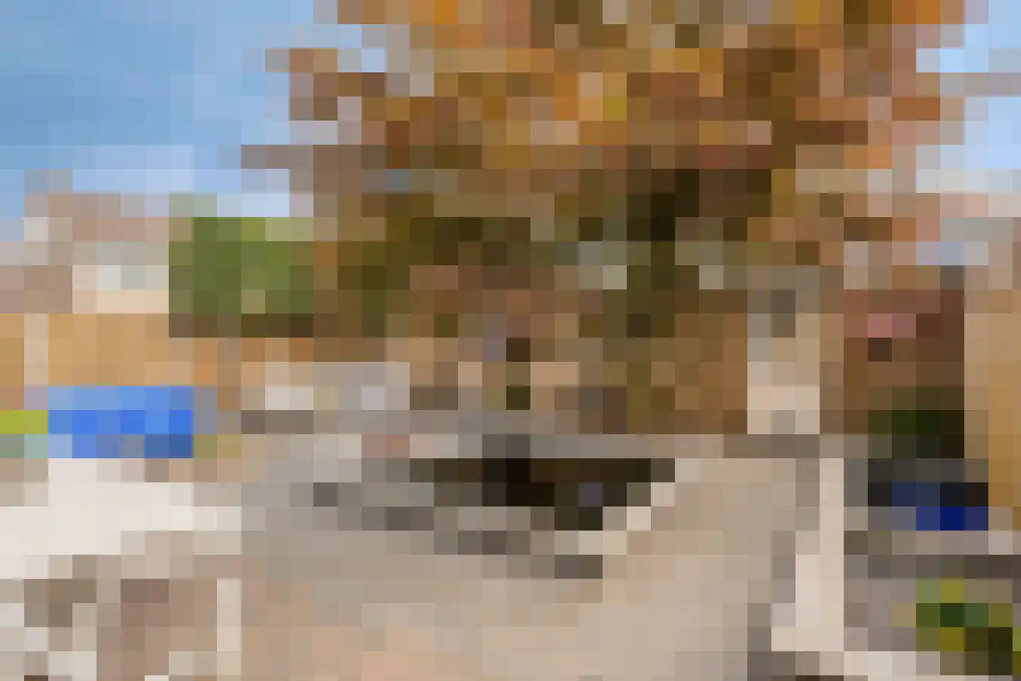 Plesmanlaan 30 Helmond thumbnail 37
