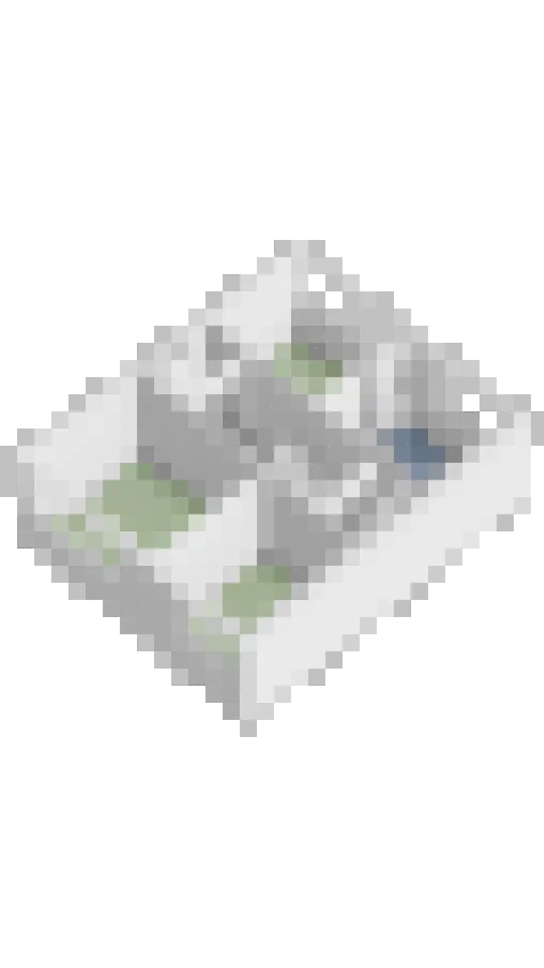 Plesmanlaan 30 Helmond thumbnail 43