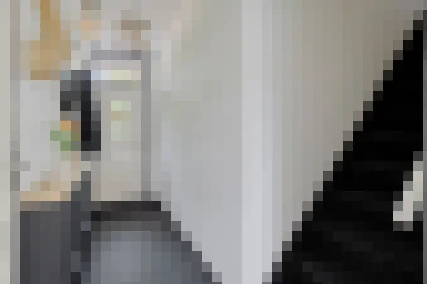 Plesmanlaan 30 Helmond thumbnail 8