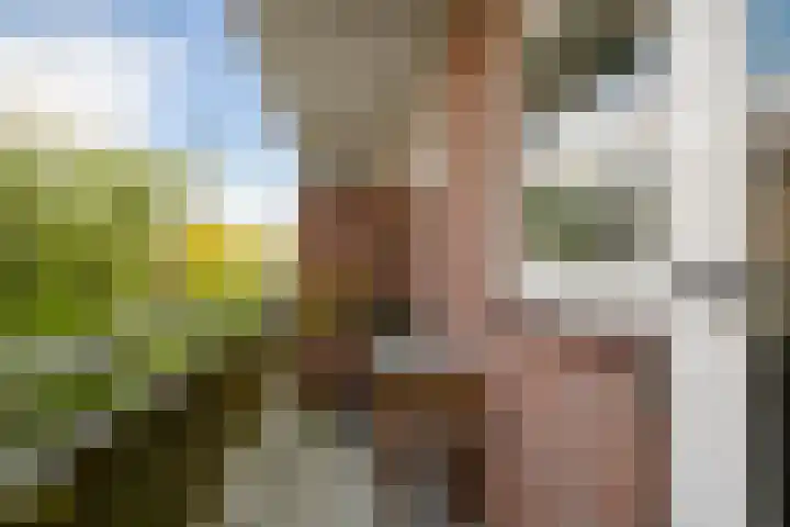 Plesmanlaan 30 I Haarlem thumbnail 16