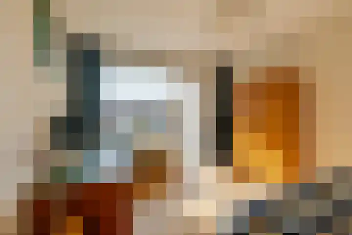 Plesmanlaan 30 I Haarlem thumbnail 17
