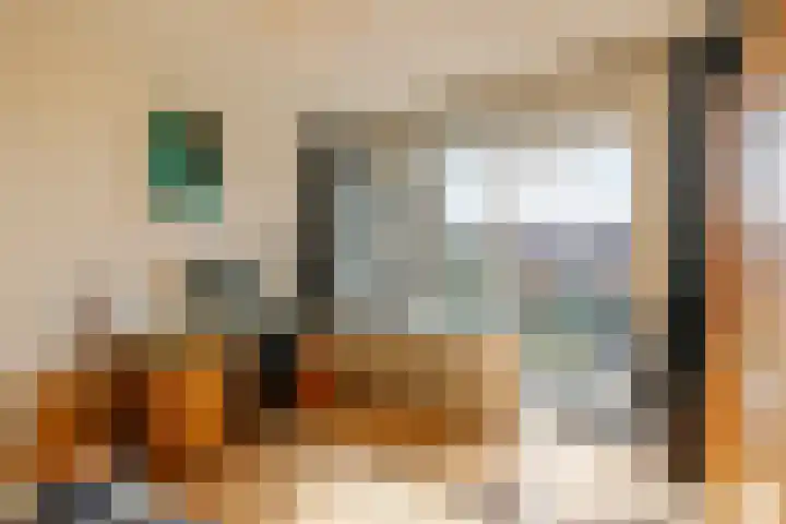 Plesmanlaan 30 I Haarlem thumbnail 19