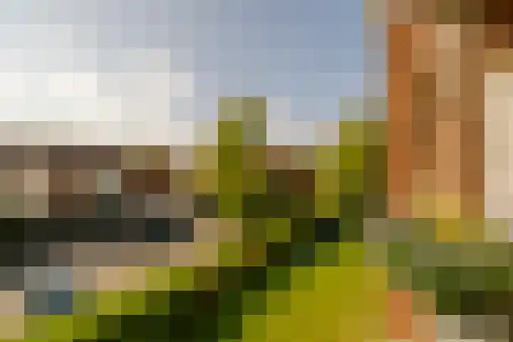 Plesmanlaan 30 I Haarlem thumbnail 22