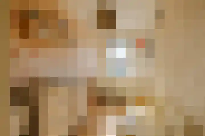 Plesmanlaan 30 I Haarlem thumbnail 23