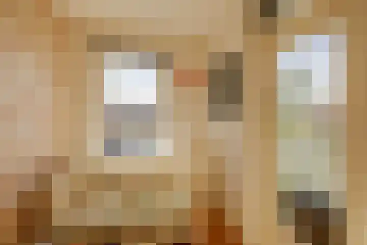 Plesmanlaan 30 I Haarlem thumbnail 24