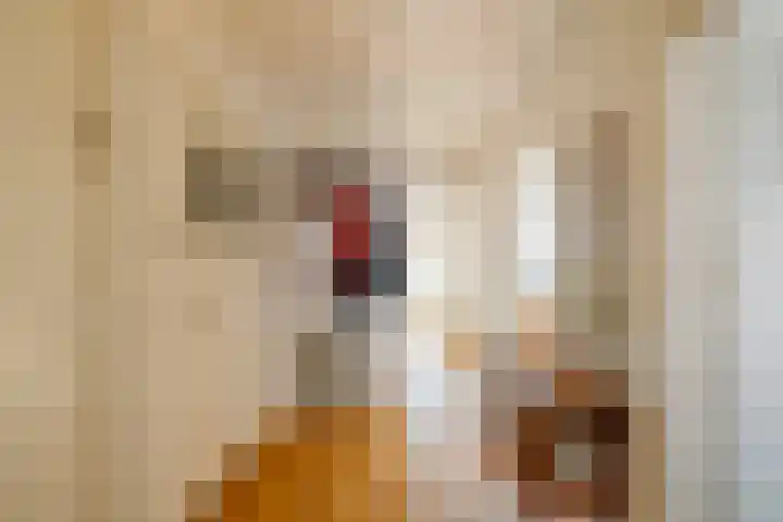 Plesmanlaan 30 I Haarlem thumbnail 28