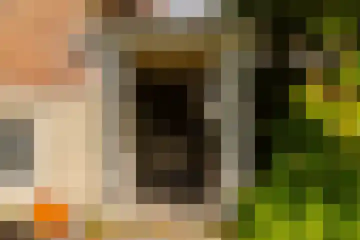 Plesmanlaan 30 I Haarlem thumbnail 32