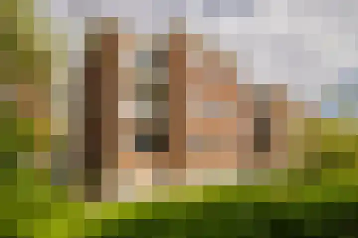 Plesmanlaan 30 I Haarlem thumbnail 35