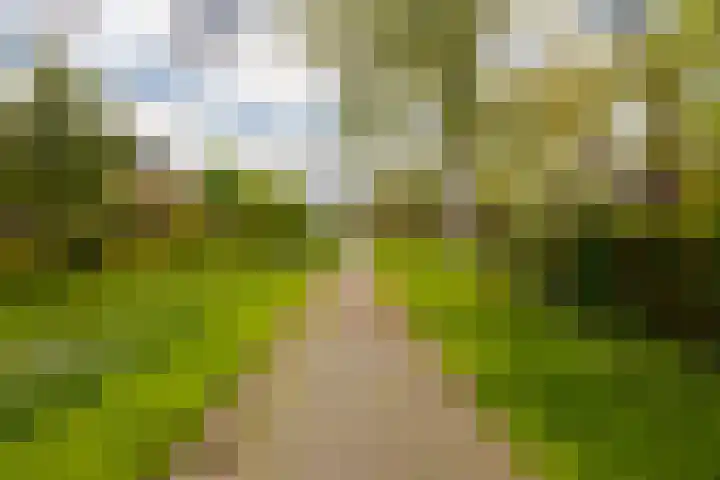 Plesmanlaan 30 I Haarlem thumbnail 36
