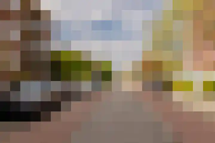 Plesmanlaan 30 I Haarlem thumbnail 38