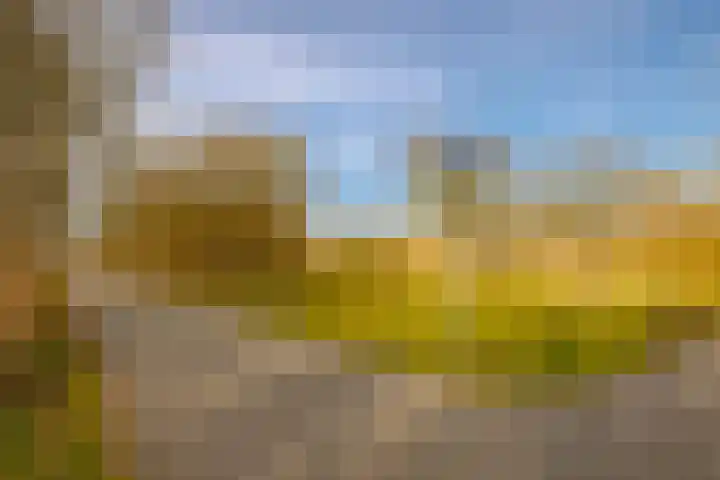 Plesmanlaan 30 I Haarlem thumbnail 39