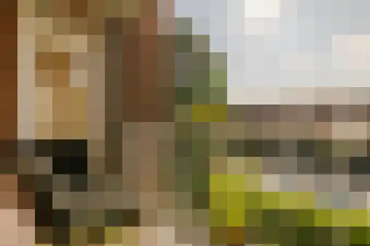Plesmanlaan 30 I Haarlem thumbnail 4