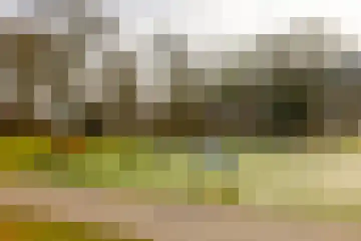 Plesmanlaan 30 I Haarlem thumbnail 40