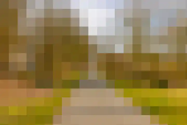 Plesmanlaan 30 I Haarlem thumbnail 44
