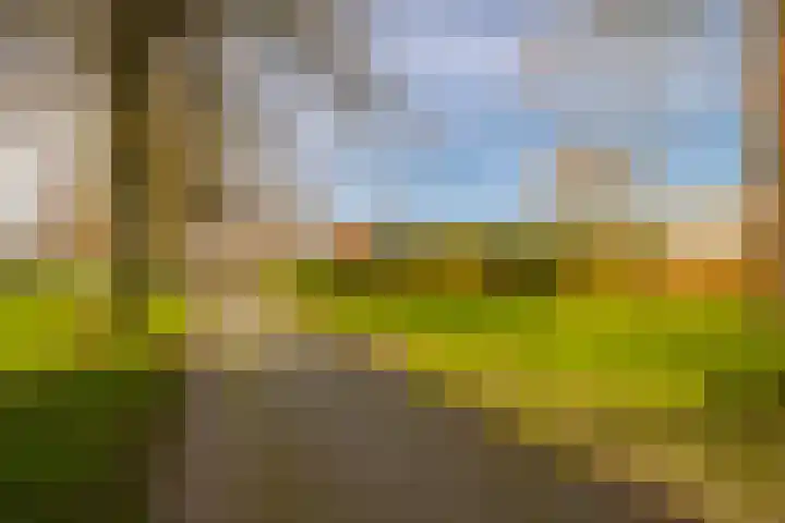 Plesmanlaan 30 I Haarlem thumbnail 46