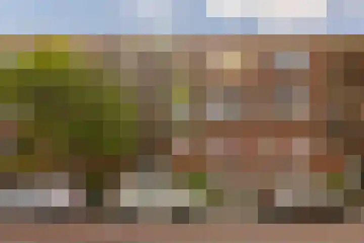 Plesmanlaan 30 I Haarlem thumbnail 5