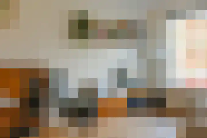 Plesmanlaan 30 I Haarlem thumbnail 7