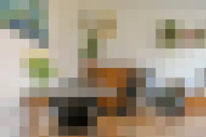 Plesmanlaan 30 I Haarlem thumbnail 8