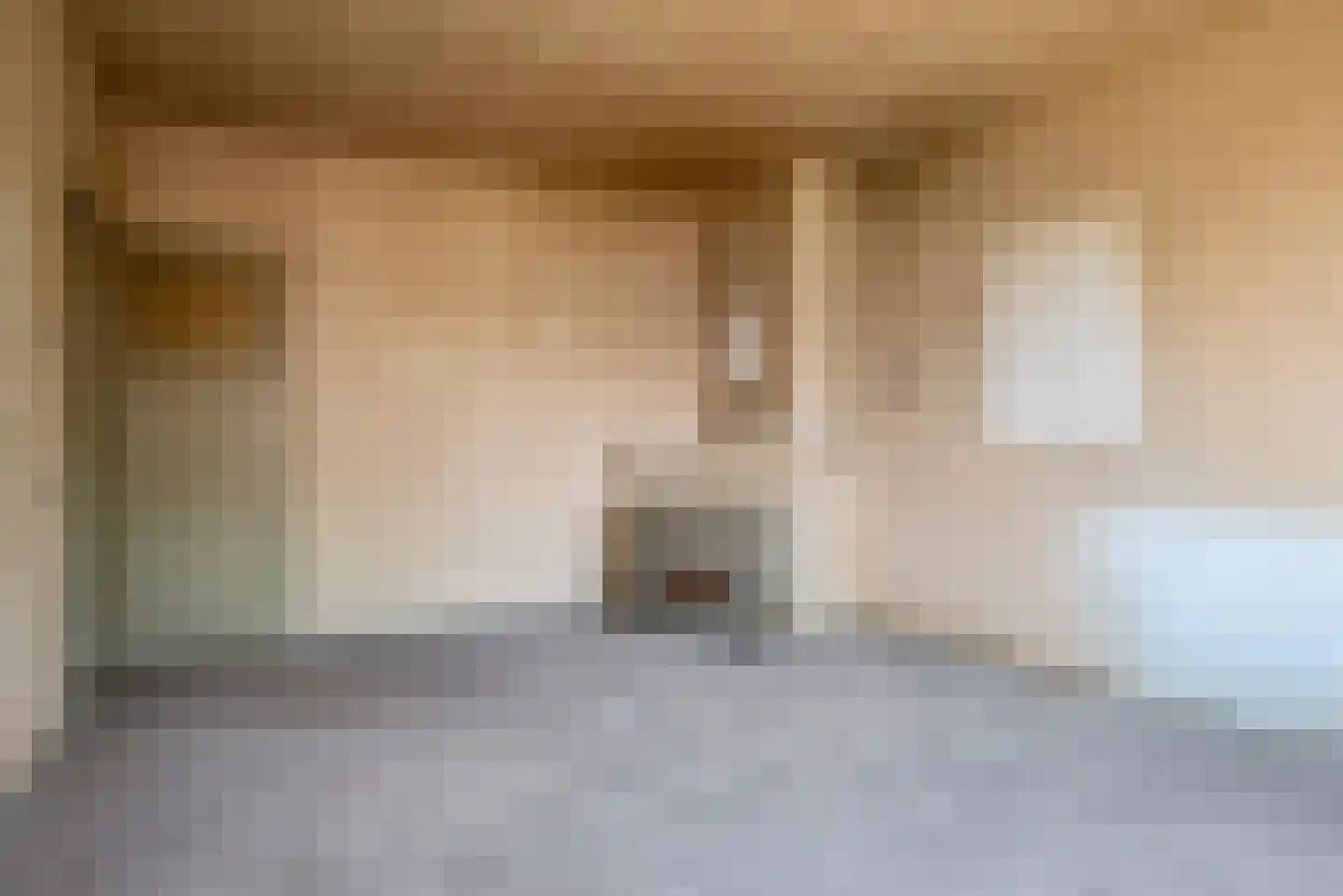 Plesmanlaan 30 II Haarlem thumbnail 5