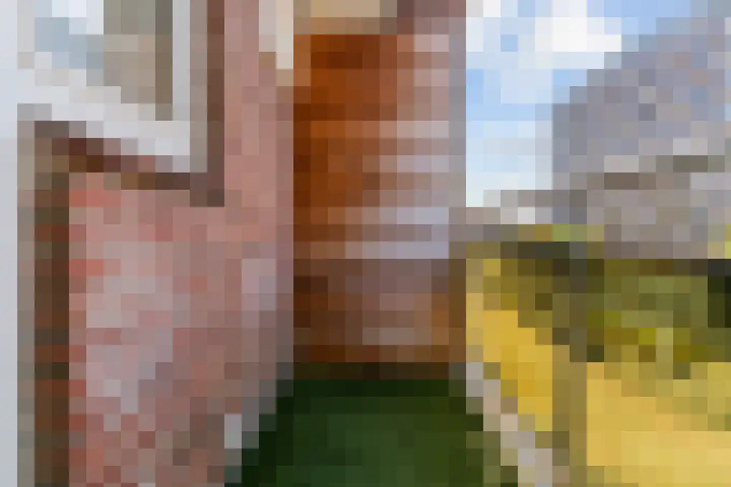 Plesmanlaan 32 II Haarlem thumbnail 25