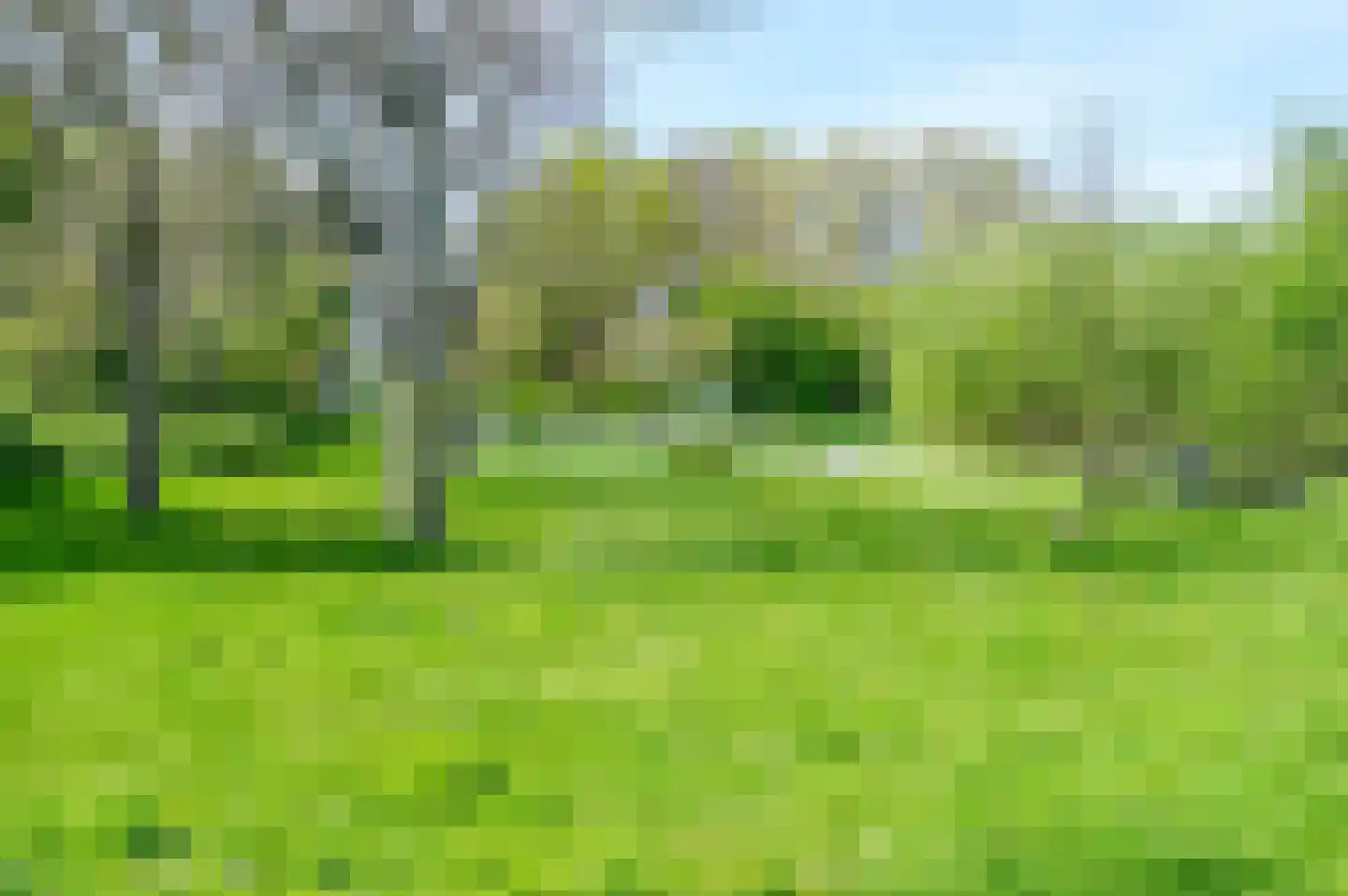 Plesmanlaan 34 Haarlem thumbnail 29