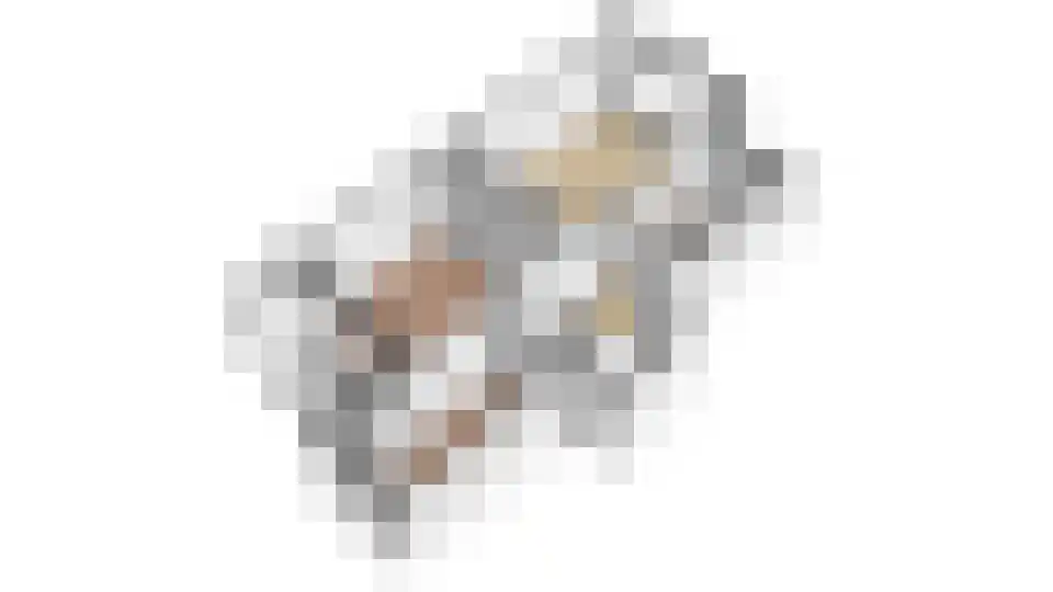 Plesmanlaan 34 Haarlem thumbnail 35