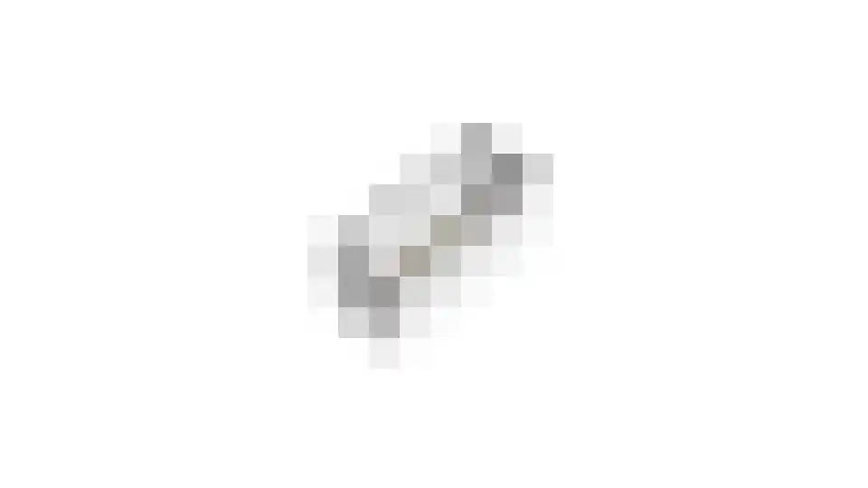 Plesmanlaan 34 Haarlem thumbnail 38