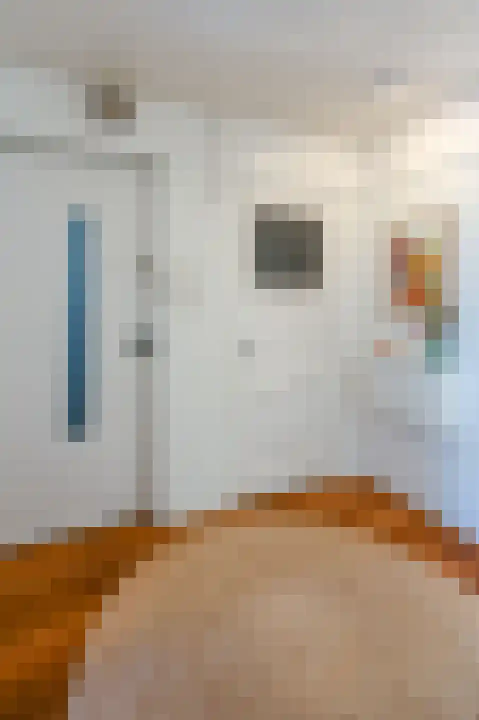 Plesmanlaan 34 Haarlem thumbnail 6