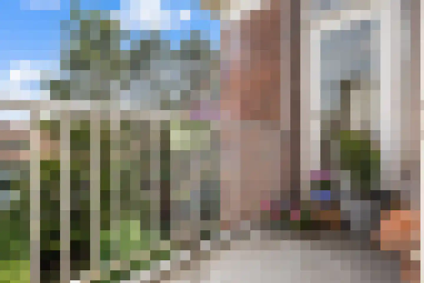 Plesmanlaan 36 II Haarlem thumbnail 16