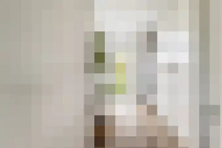 Plesmanlaan 4 II Haarlem thumbnail 11