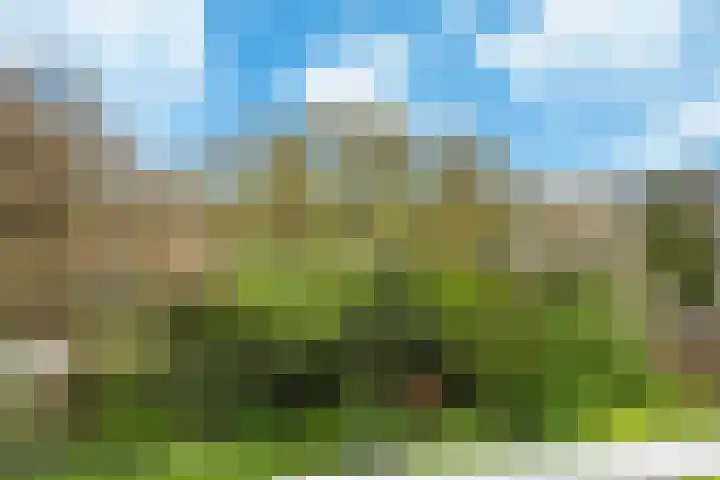 Plesmanlaan 4 II Haarlem thumbnail 13