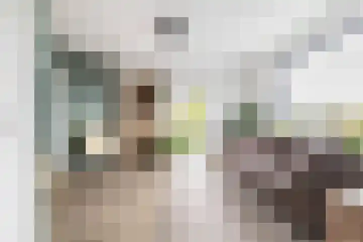 Plesmanlaan 4 II Haarlem thumbnail 17