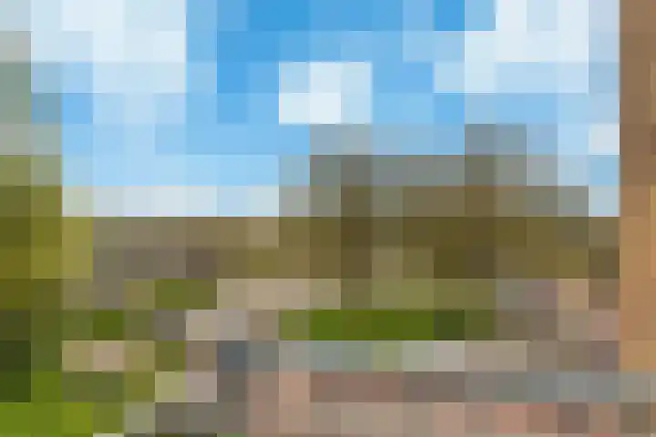 Plesmanlaan 4 II Haarlem thumbnail 21