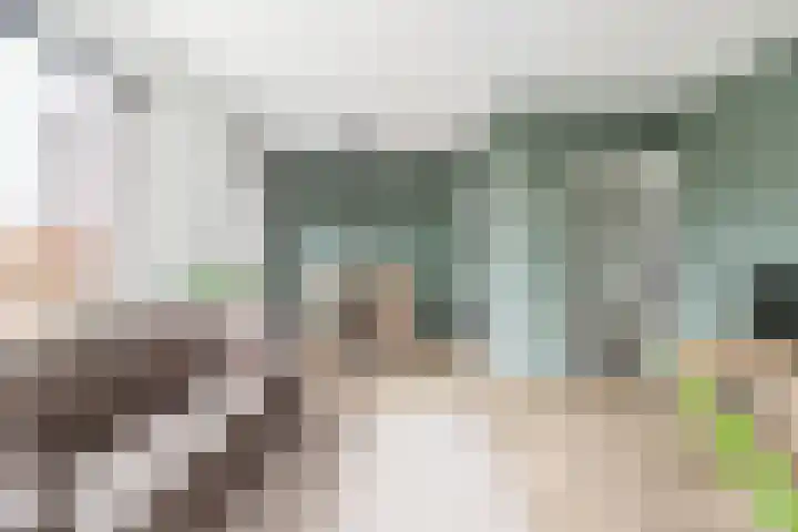 Plesmanlaan 4 II Haarlem thumbnail 30