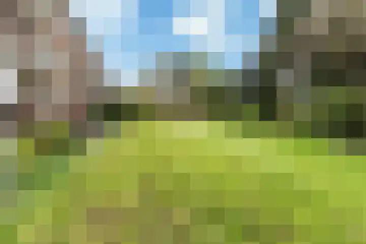 Plesmanlaan 4 II Haarlem thumbnail 33