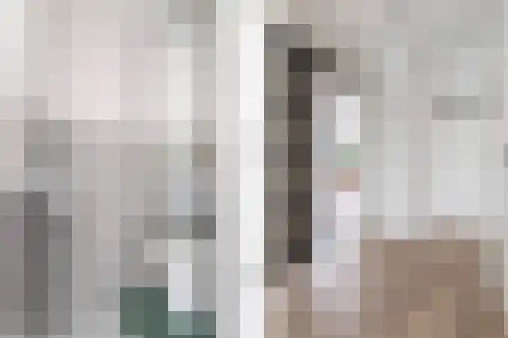 Plesmanlaan 4 II Haarlem thumbnail 7