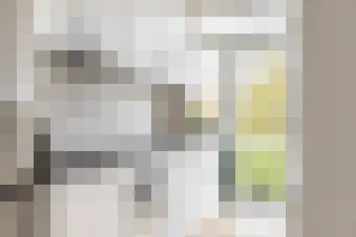 Plesmanlaan 4 II Haarlem thumbnail 8